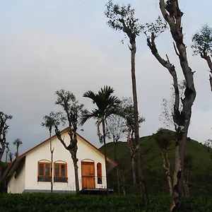 Resort Tea Terrace Vythiri, Wayanad